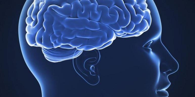 Увреждаме ли мозъка с преяждане?