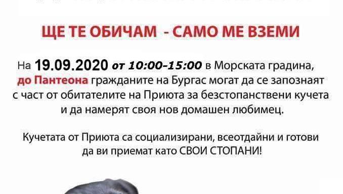 Искате куче? Елате на Пантеона в Бургас