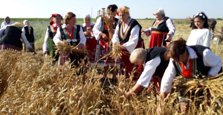 Празник на пшеницата в старозагорското село Пшеничево
