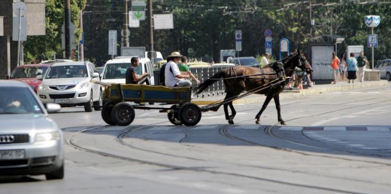 София забрани каруците, какво ще правят с "арестуваните" коне