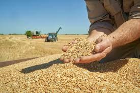 Полша и Унгария спряха вноса на украински продукти