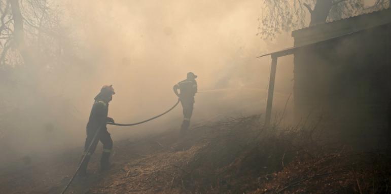Пожар избухна и в гората над Велинград