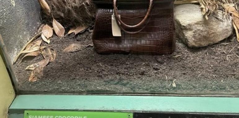 Зоопарк сложи в клетка чанта от крокодилска кожа