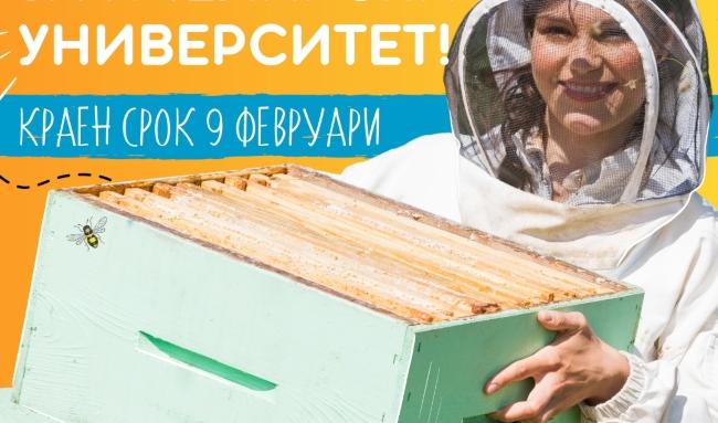 Остават 10 дни за записване в „Пчеларски университет“ - първото любителско училище за пчелари