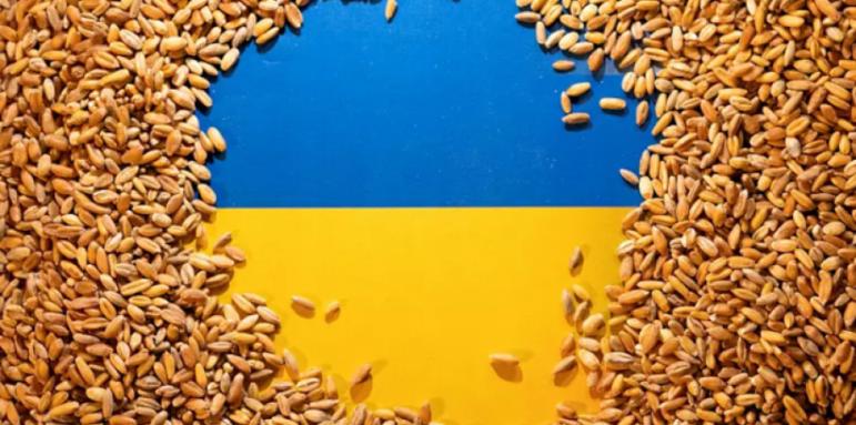 Ето колко тона зърно и селскостопанска продукция е изнесла Украйна