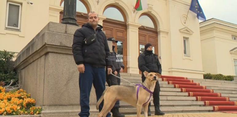 Кучето Фернанда посрещна депутатите, стопанинът й с важна новина