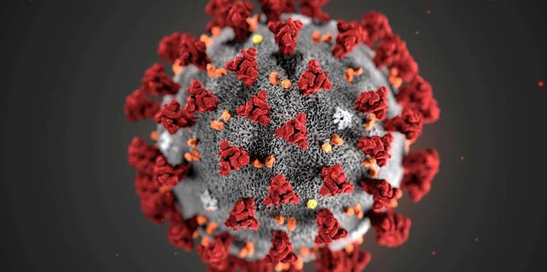 40 заразени с коронавирус във Висшата лига