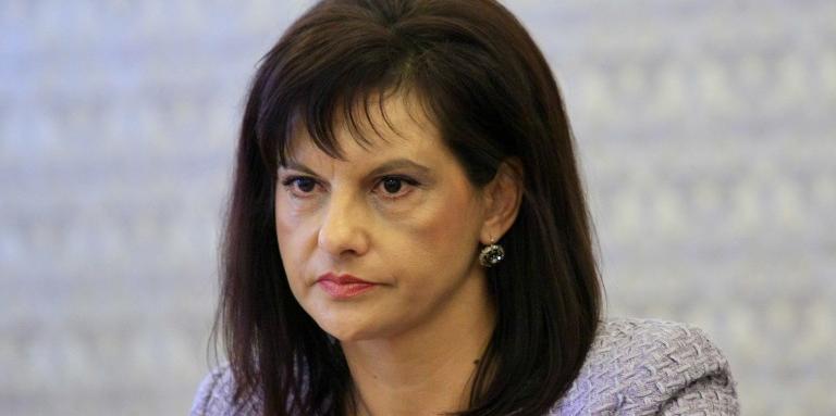 Дариткова: Не търсим конституционно мнозинство