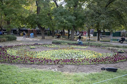 Хиляди нови цветя ще красят Стара Загора за празника на града