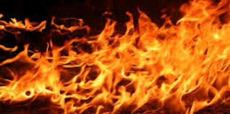 Кабели подпалиха база на бизнесмен в Петрич