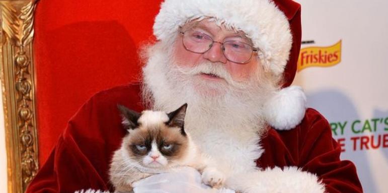 ВИДЕО: Световноизвестни котки в "Трудно е да си котка по Коледа"