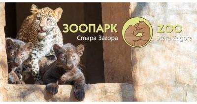 10-годишен старозагорец стана кръстник на леопарда и двете пантери от Зоопарка