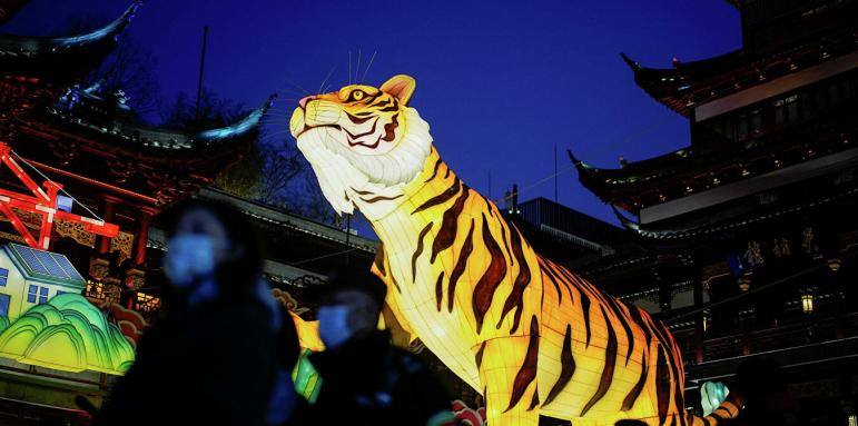 Азия посрещна Годината на водния тигър